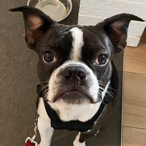 Meet your Posher, Victoria